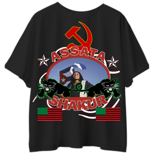 "ASSATA FREEDOM FIGHTER" TSHIRT